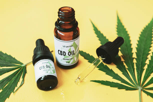 img/cannabisplantanatomy.jpg