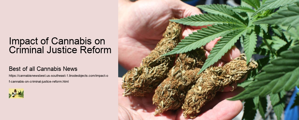 Impact of Cannabis on Criminal Justice Reform  